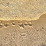 Sandy beach