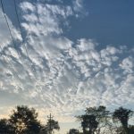leepandi sky and road SCRSH